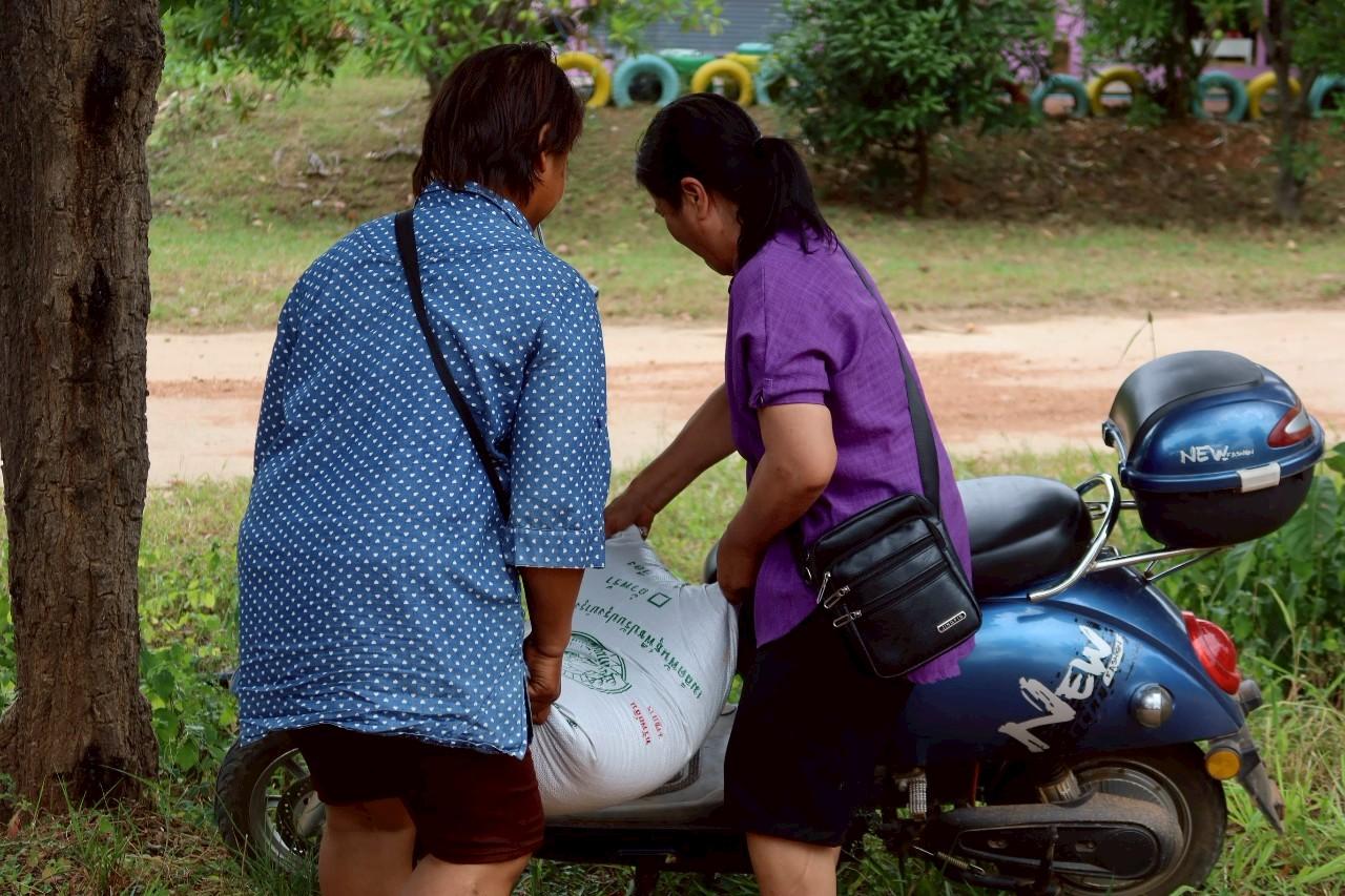 ภาพประกอบที่ 1