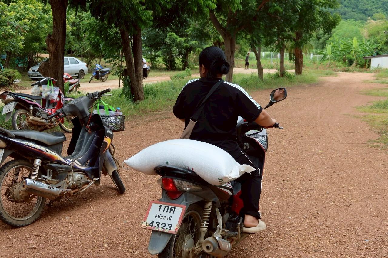 ภาพประกอบที่ 2