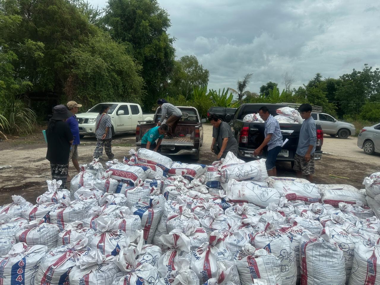 ภาพประกอบที่ 6