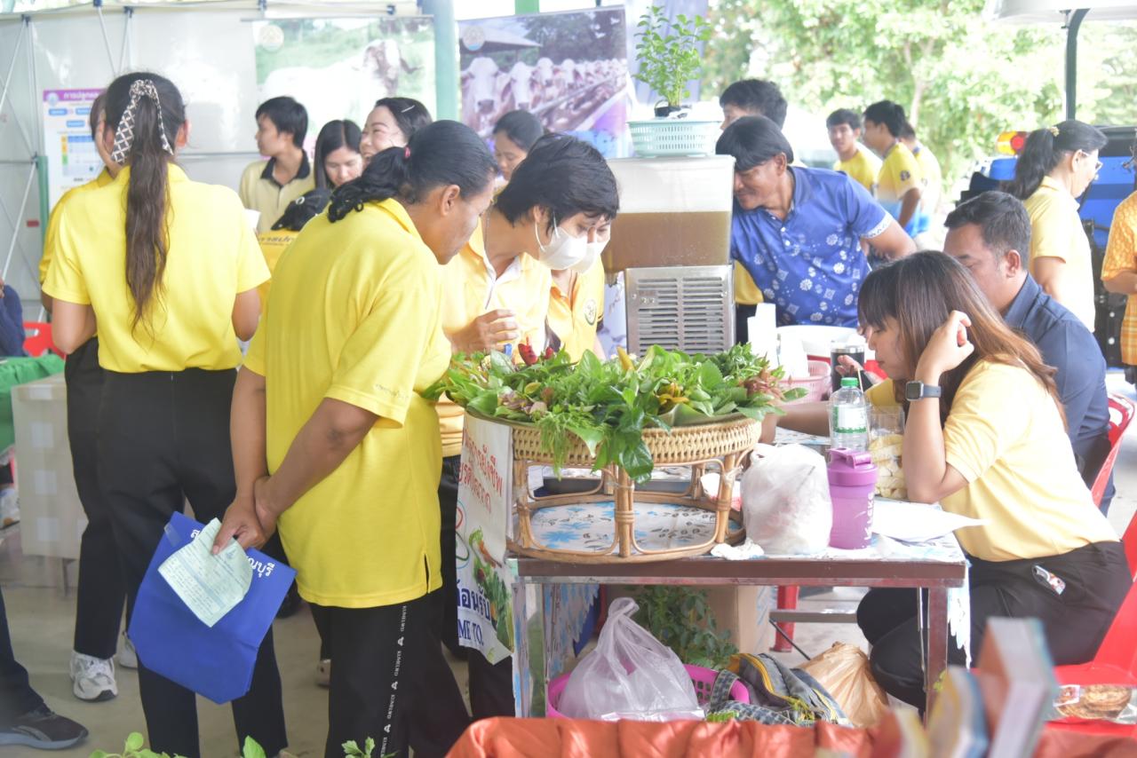 ภาพประกอบที่ 8