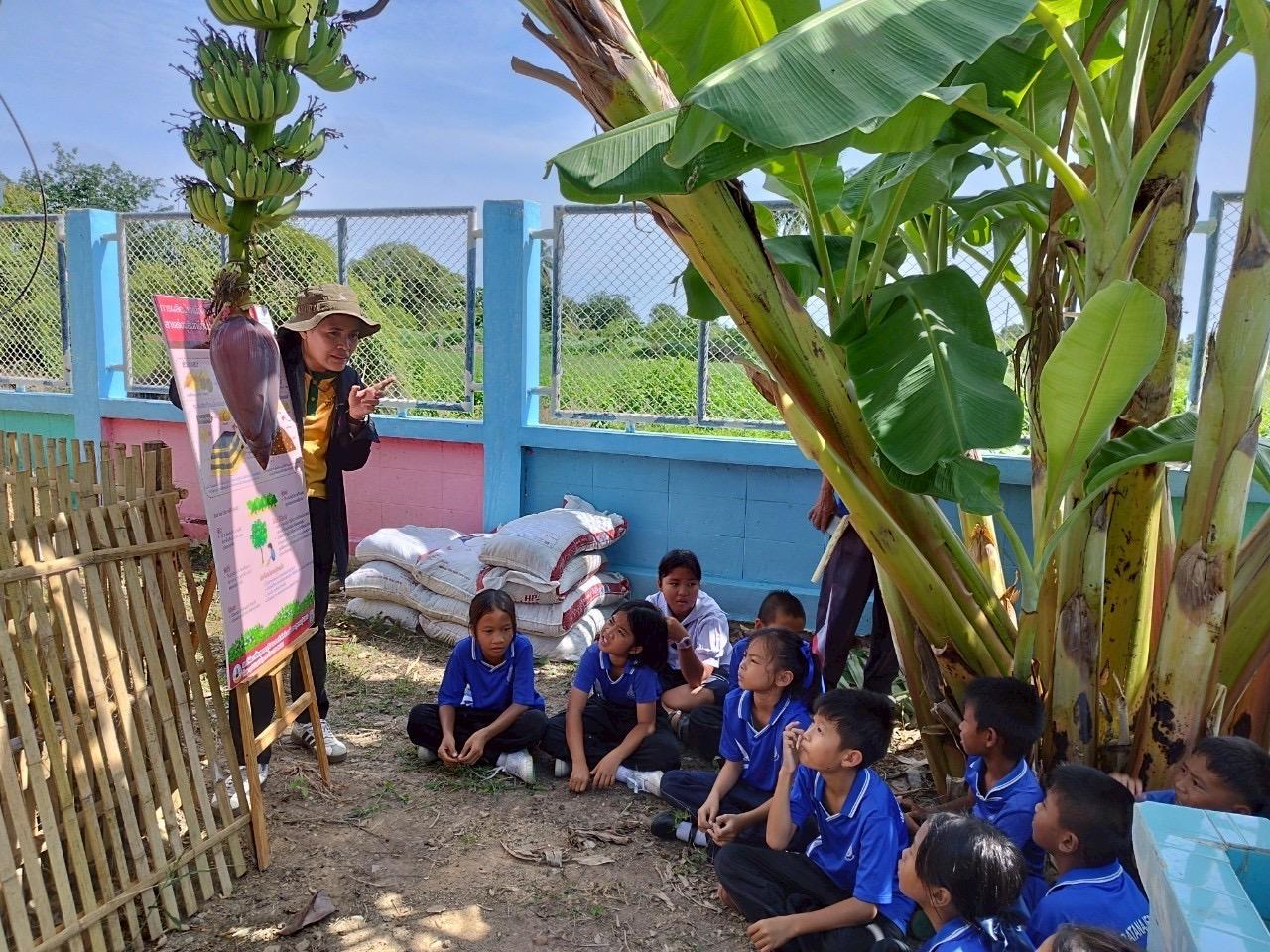 ภาพประกอบที่ 4