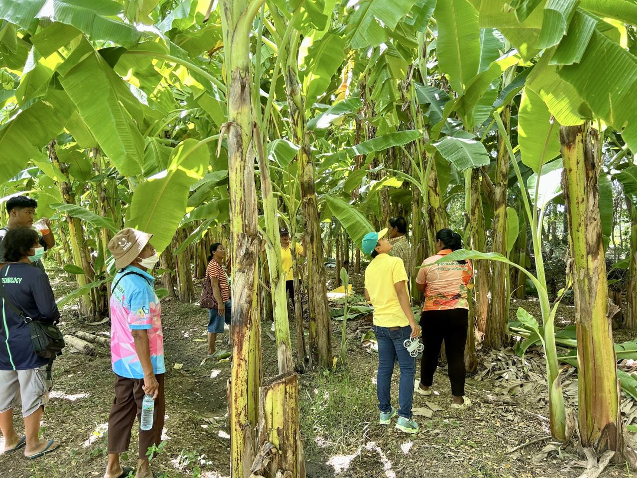 ภาพประกอบที่ 6
