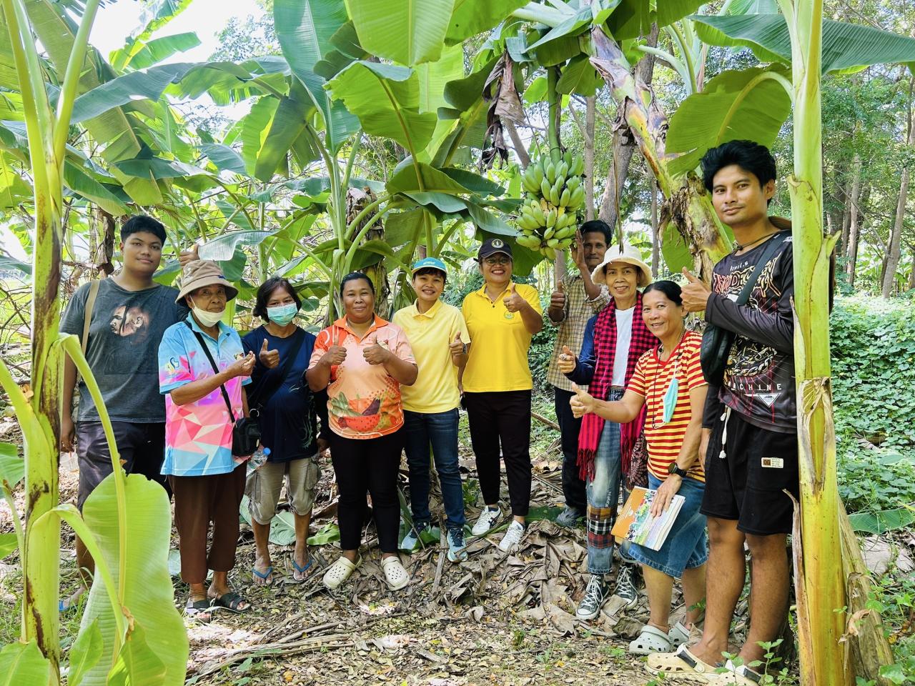 ภาพประกอบที่ 7