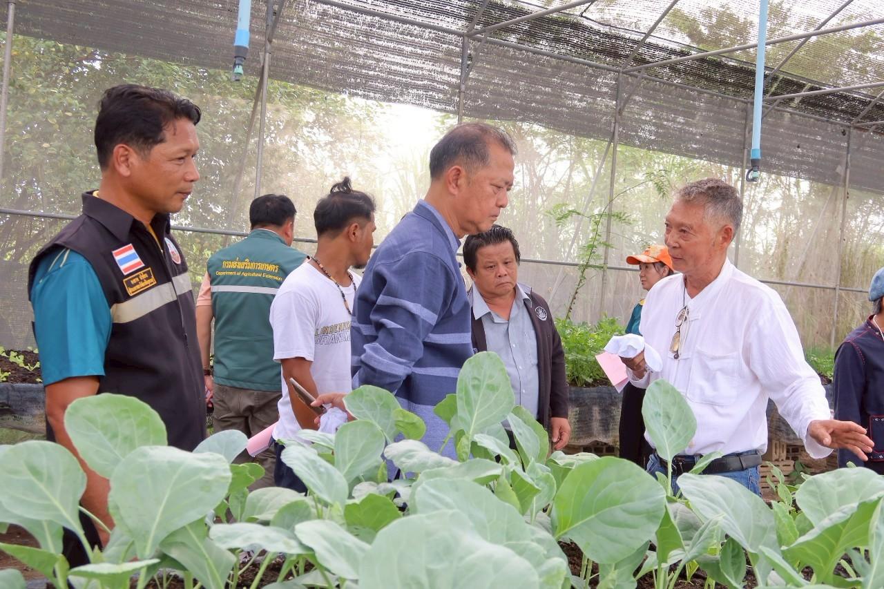 ภาพประกอบที่ 20
