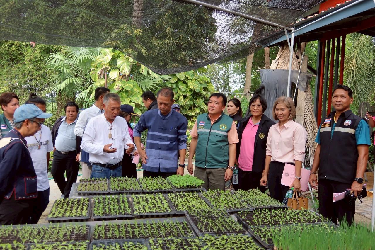 ภาพประกอบที่ 13