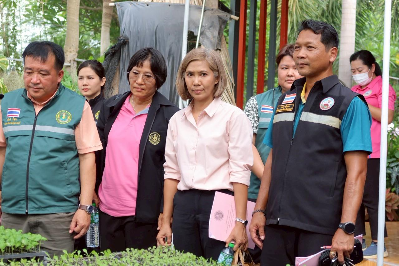 ภาพประกอบที่ 15