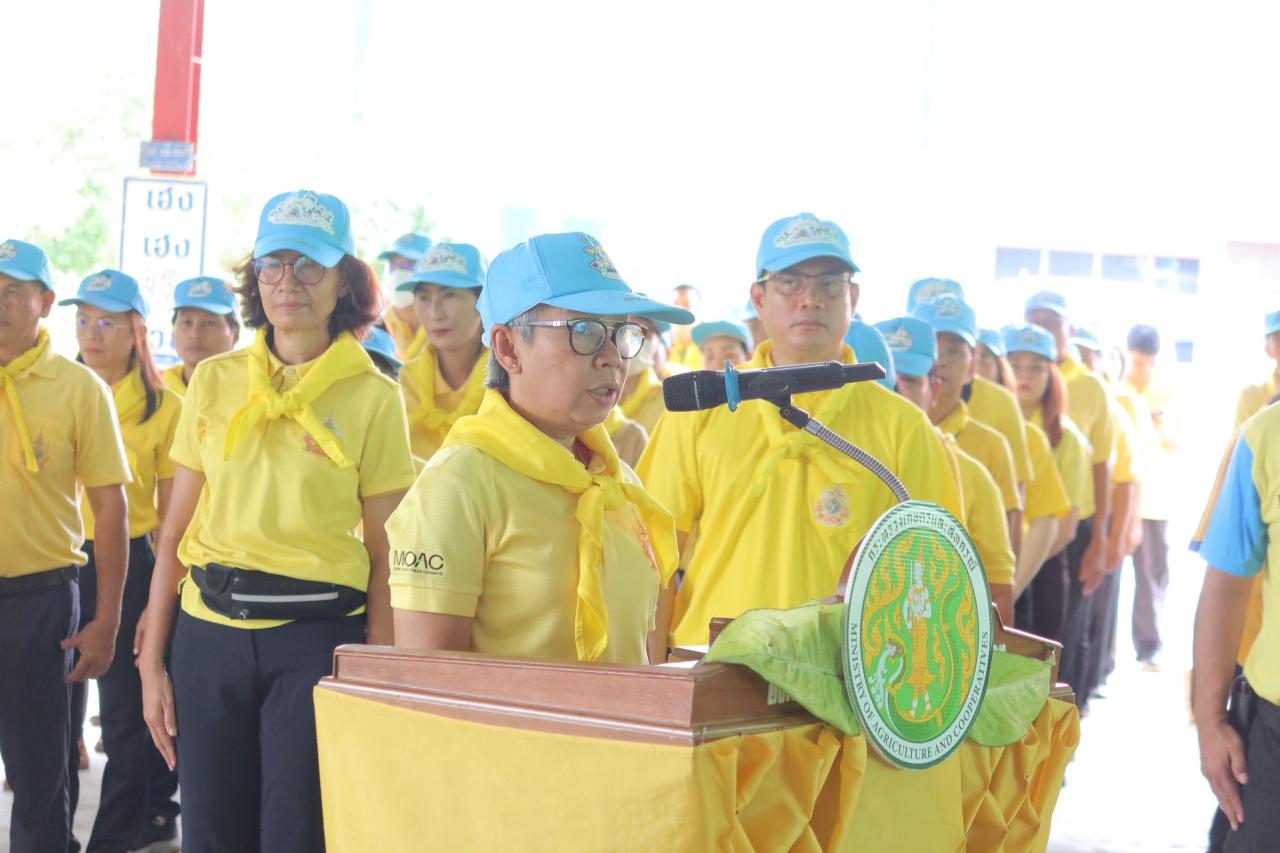 ภาพประกอบที่ 12