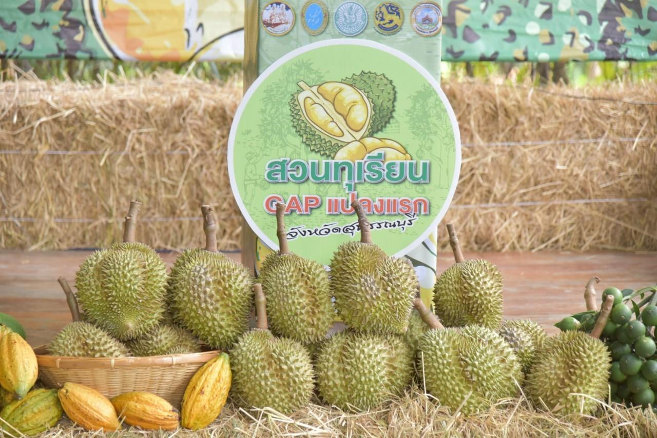 ภาพประกอบที่ 1