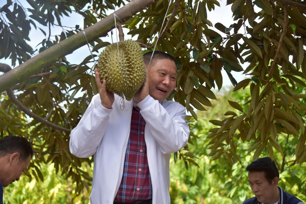 ภาพประกอบที่ 7