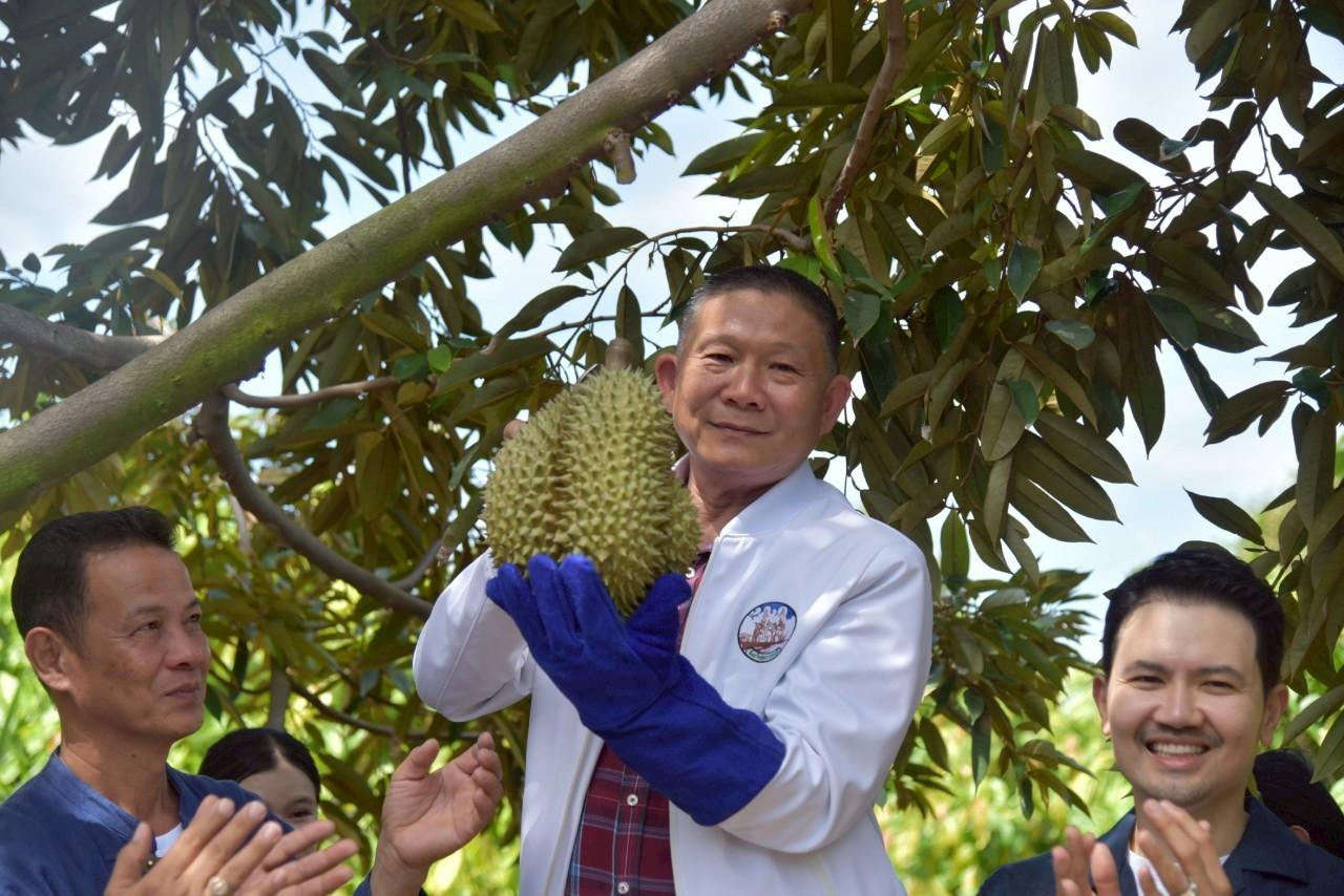 ภาพประกอบที่ 10
