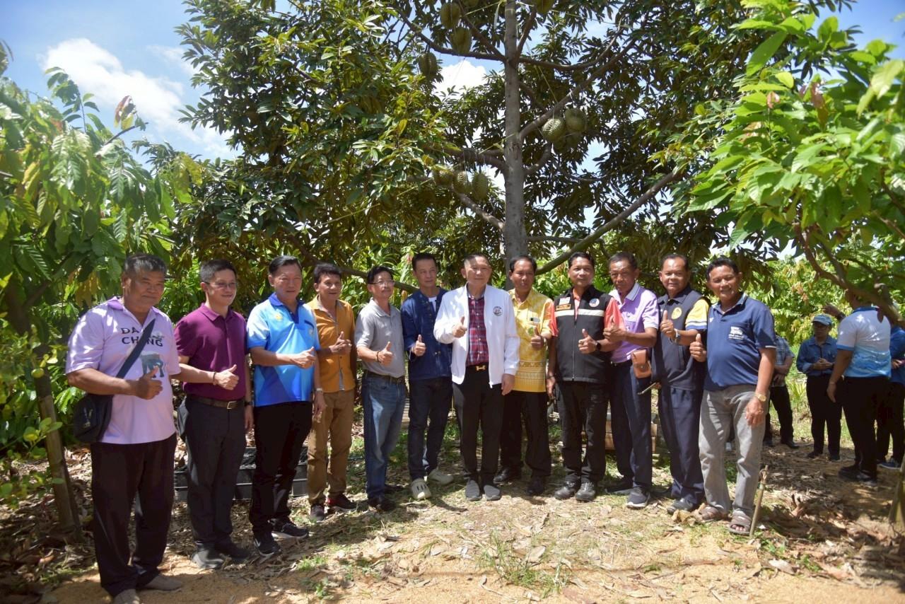 ภาพประกอบที่ 12