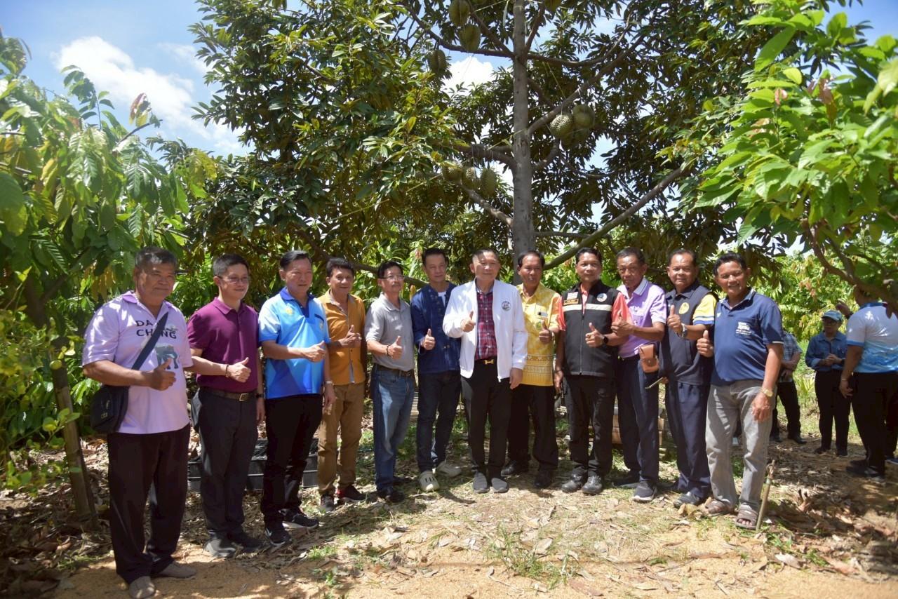 ภาพประกอบที่ 15