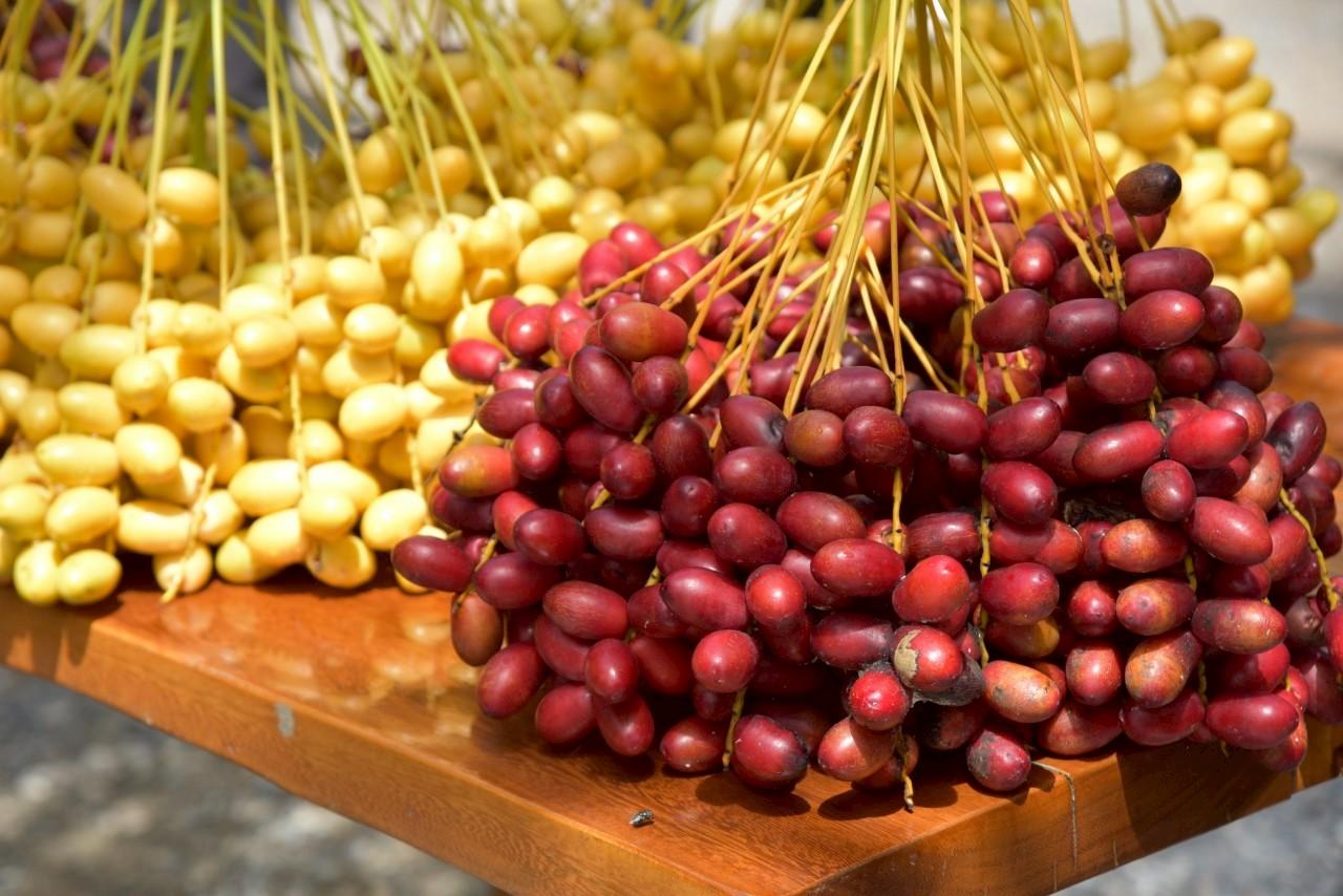 ภาพประกอบที่ 20