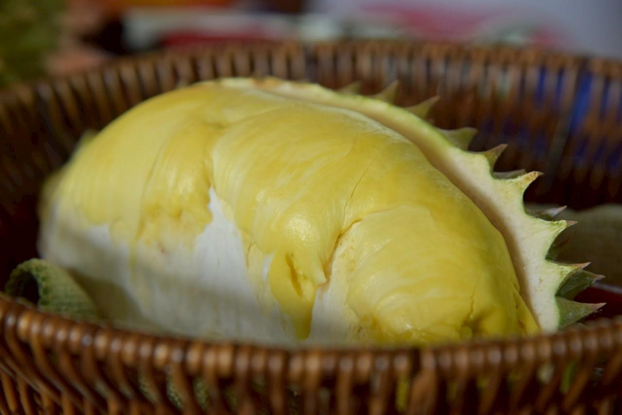 ภาพประกอบที่ 23