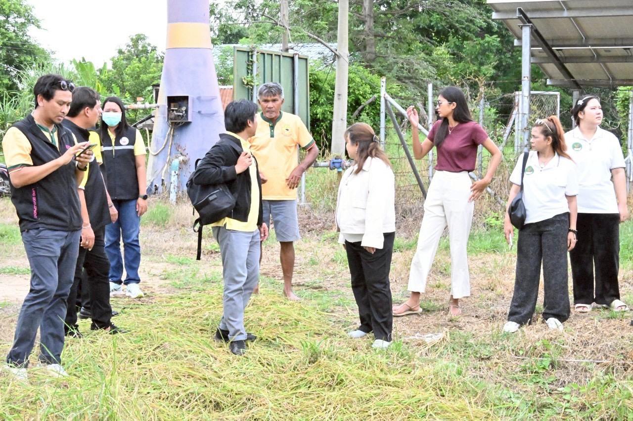 ภาพประกอบที่ 13