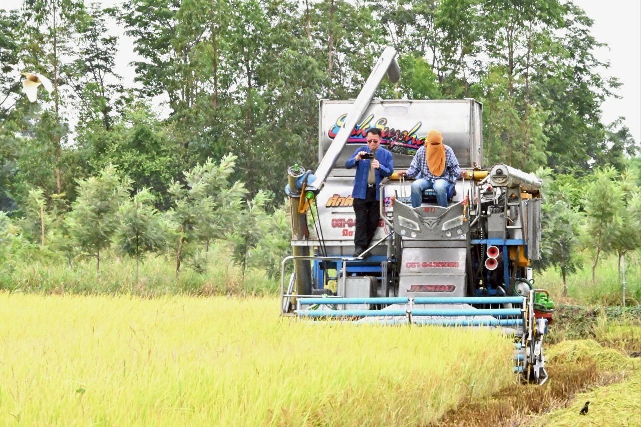 ภาพประกอบที่ 14