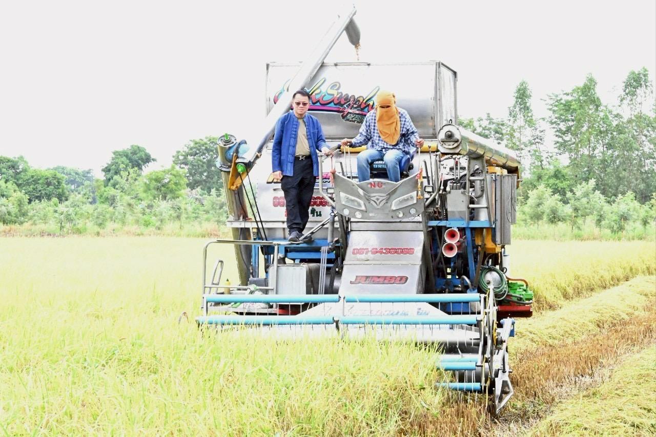 ภาพประกอบที่ 15