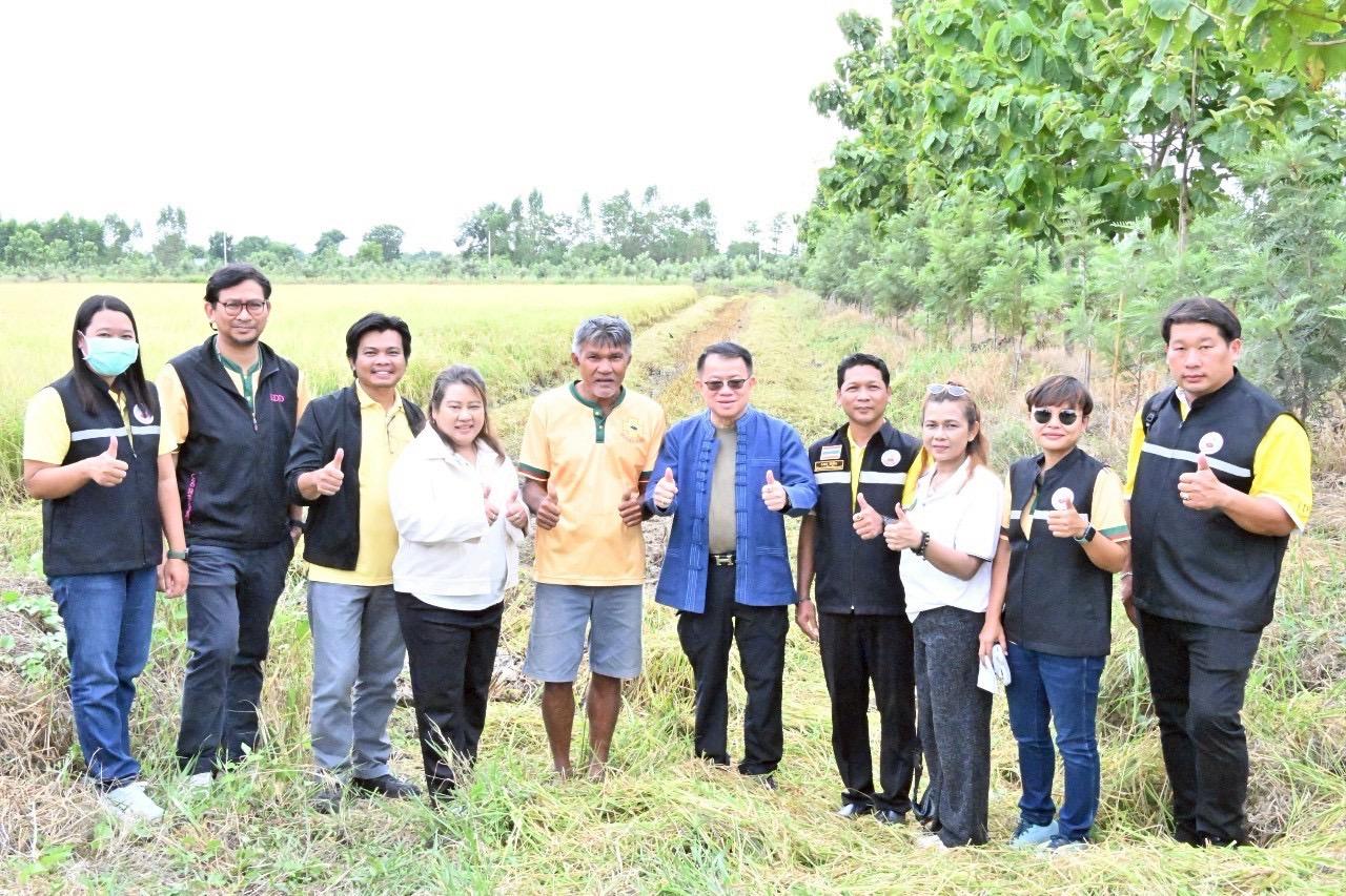 ภาพประกอบที่ 19