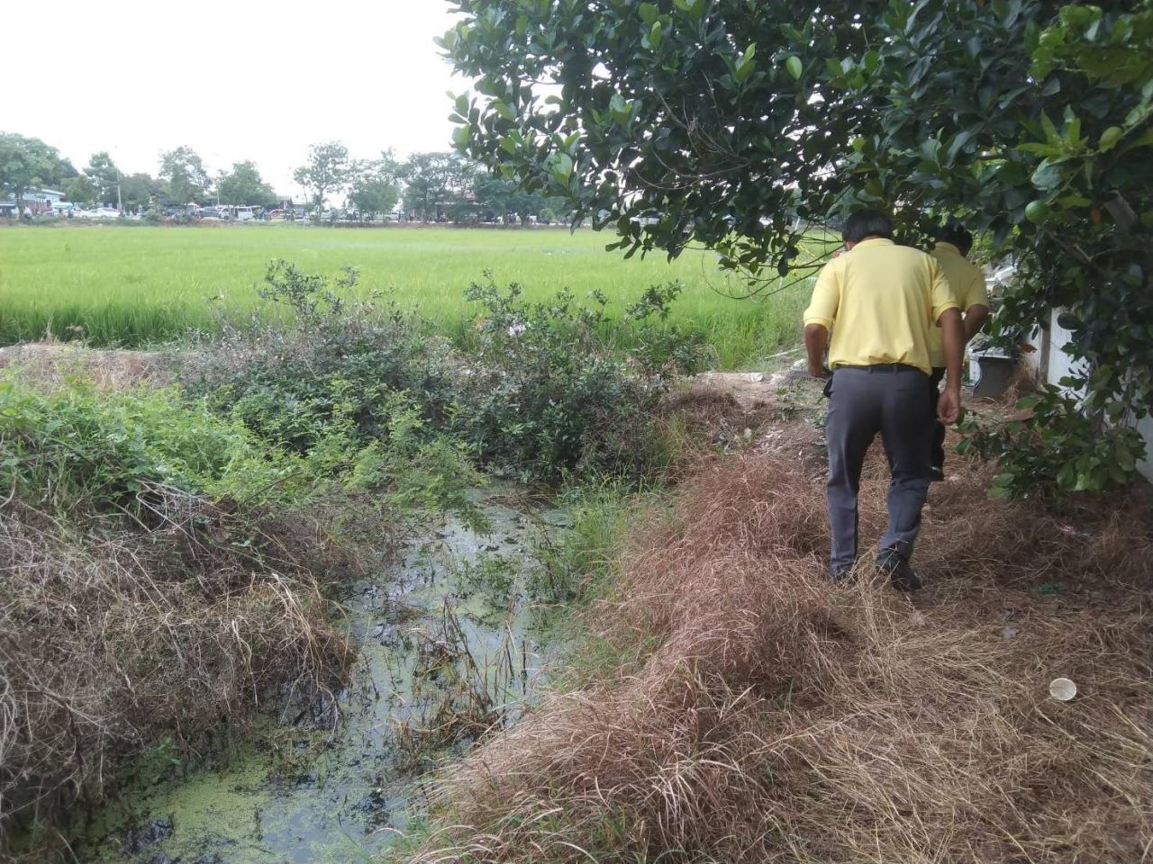 ภาพประกอบที่ 5