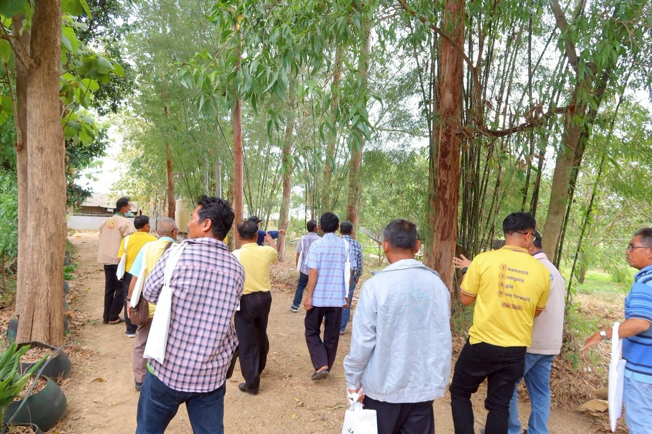 ภาพประกอบที่ 16