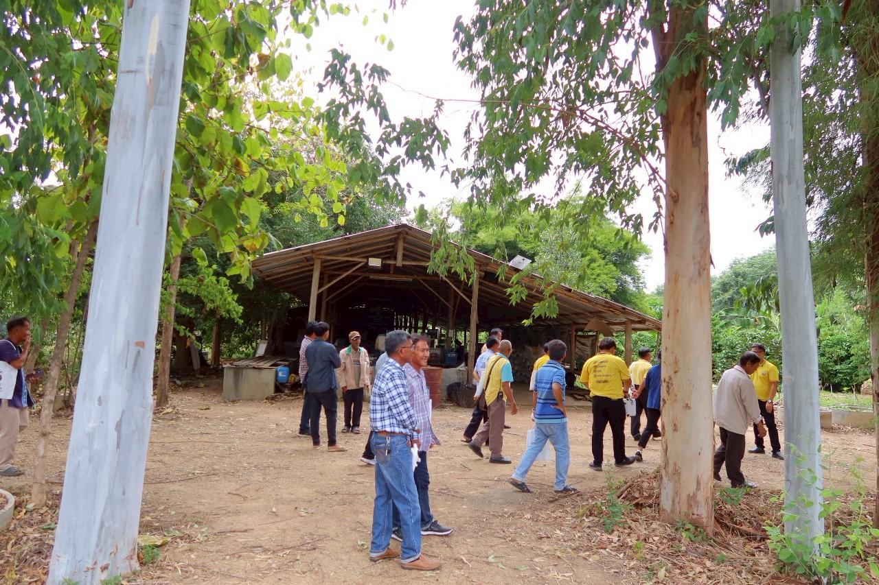 ภาพประกอบที่ 17