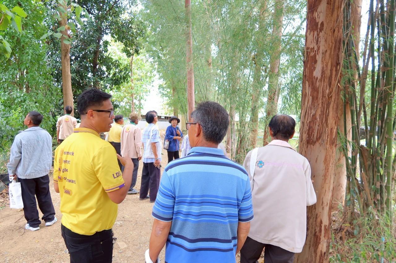 ภาพประกอบที่ 19