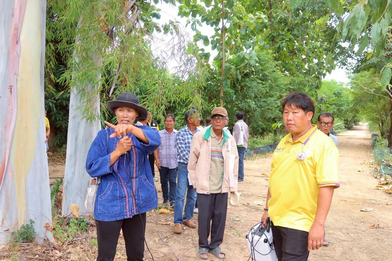 ภาพประกอบที่ 20