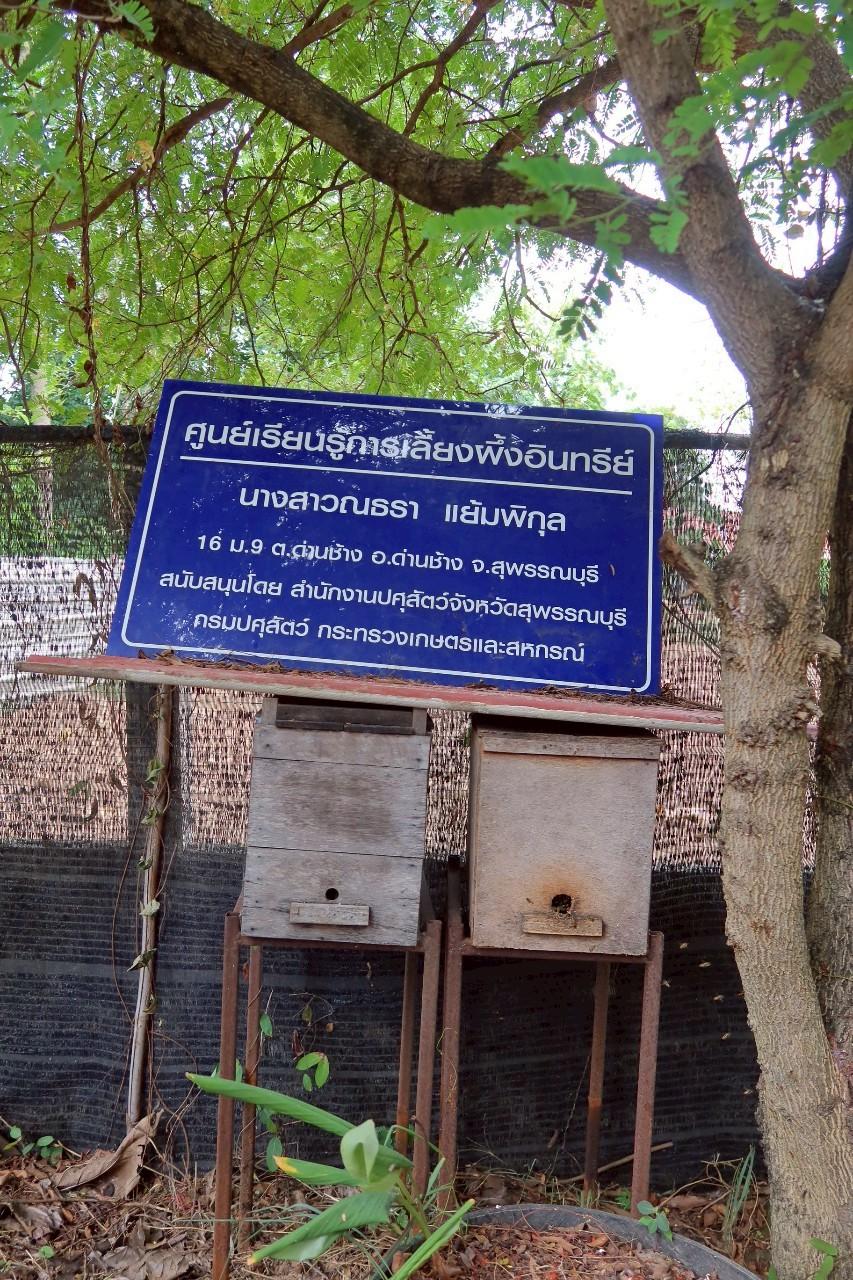 ภาพประกอบที่ 21