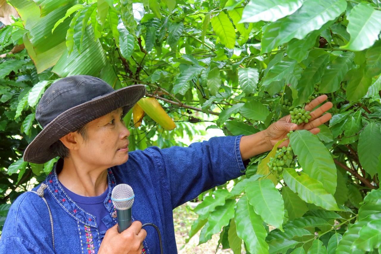 ภาพประกอบที่ 22