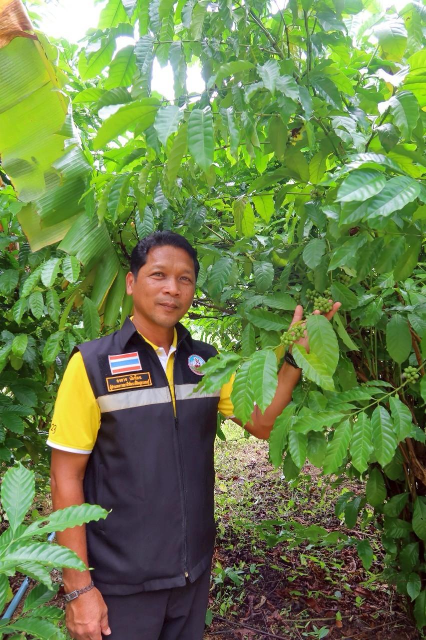 ภาพประกอบที่ 24