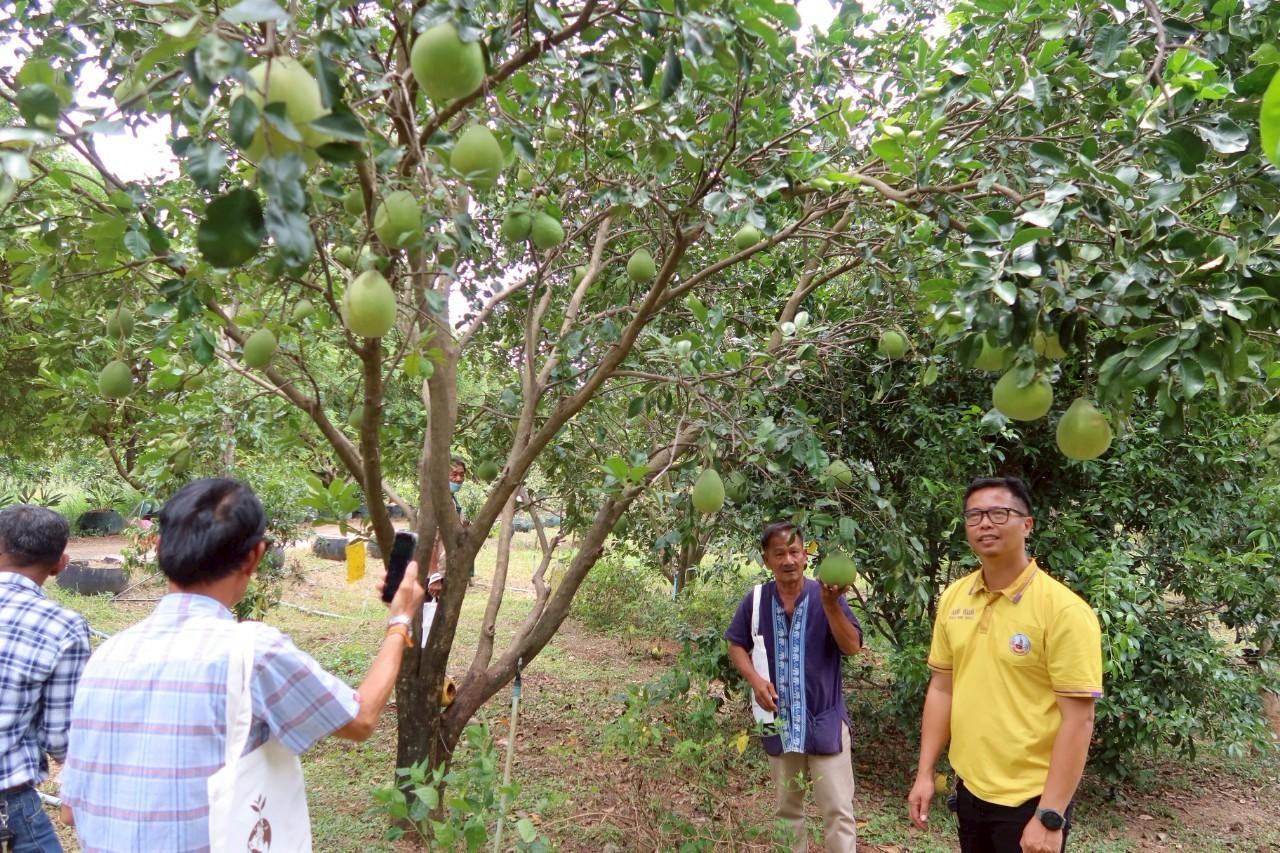 ภาพประกอบที่ 25
