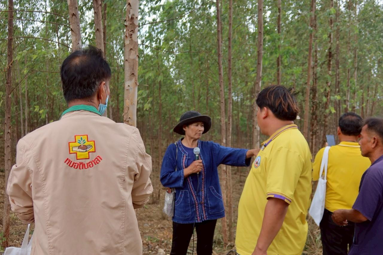 ภาพประกอบที่ 28