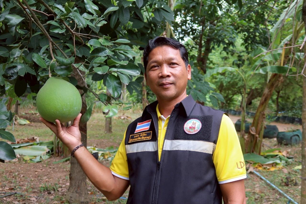 ภาพประกอบที่ 32