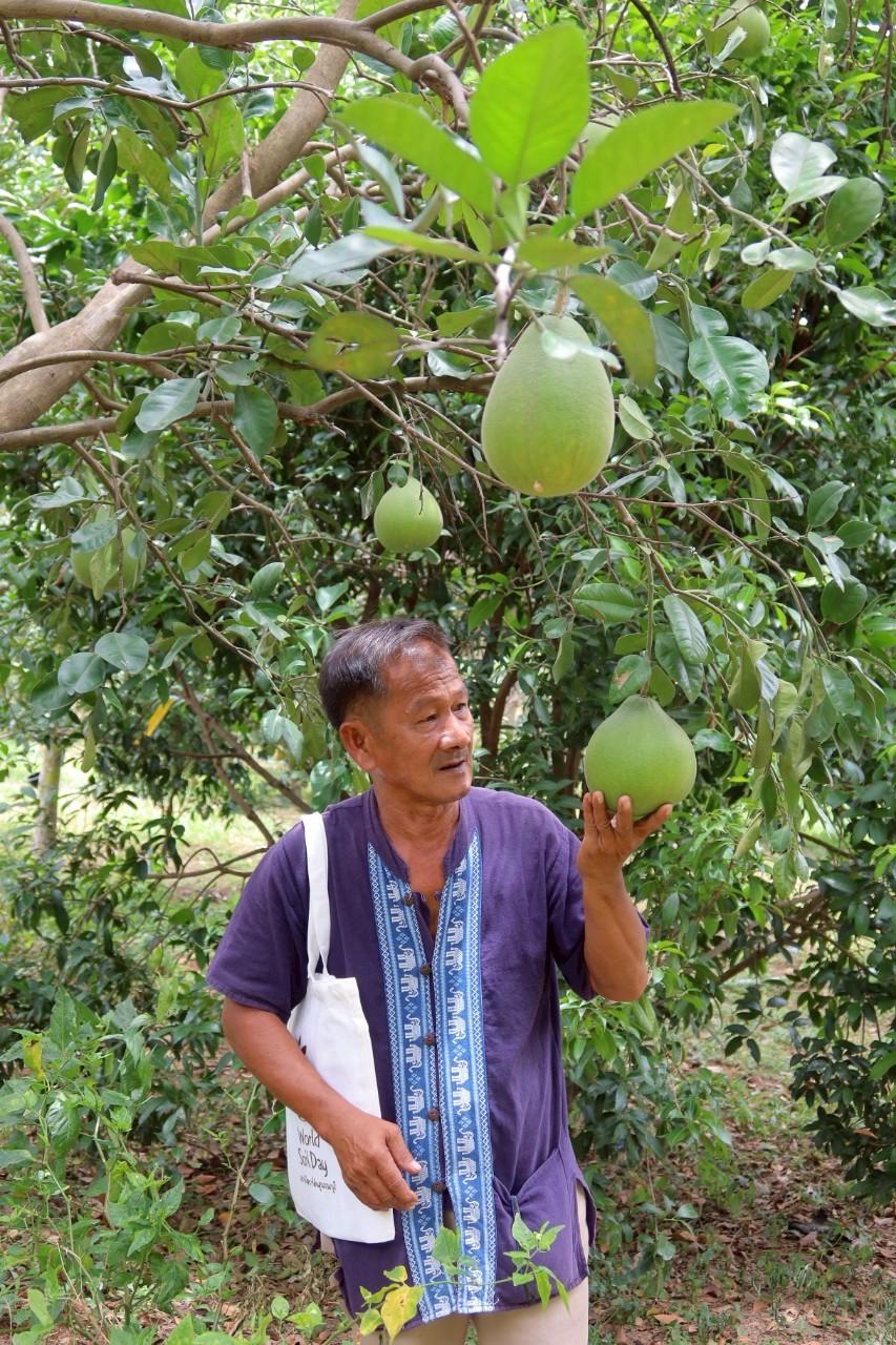 ภาพประกอบที่ 35