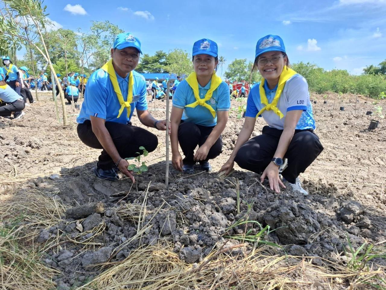 ภาพประกอบที่ 6