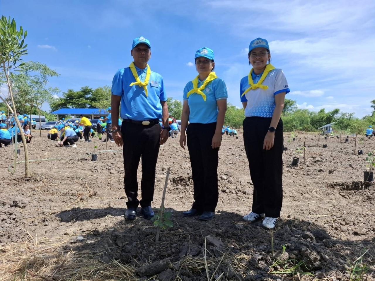 ภาพประกอบที่ 7