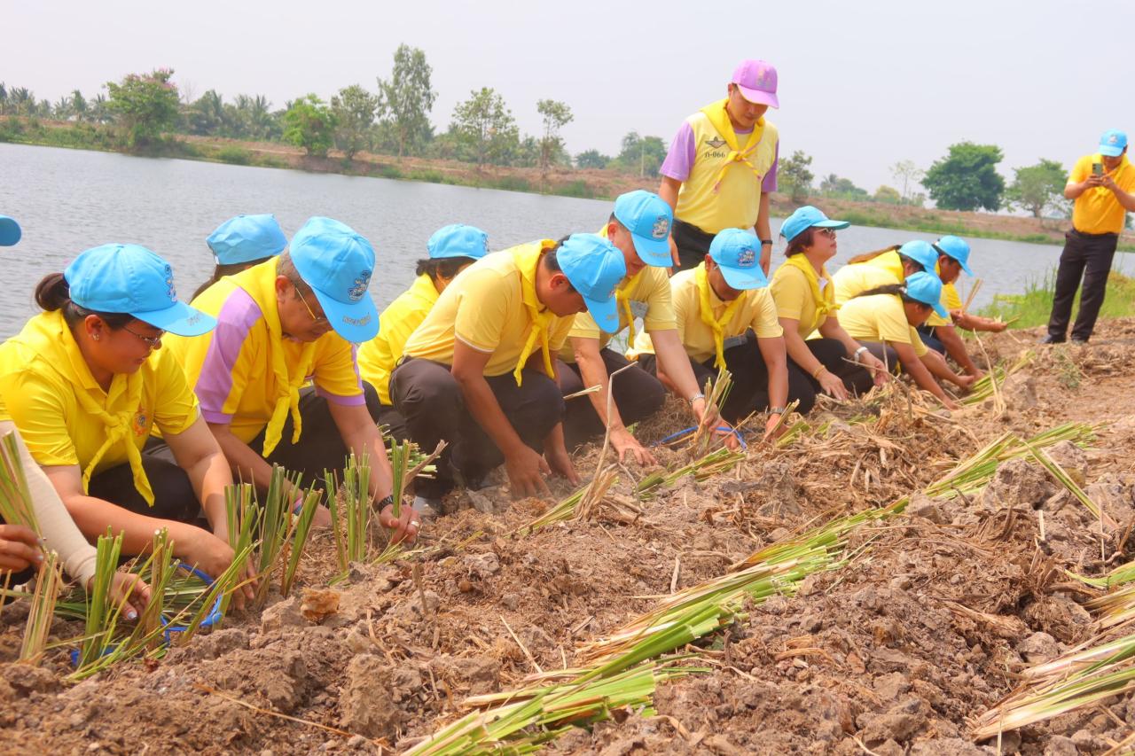 ภาพประกอบที่ 5