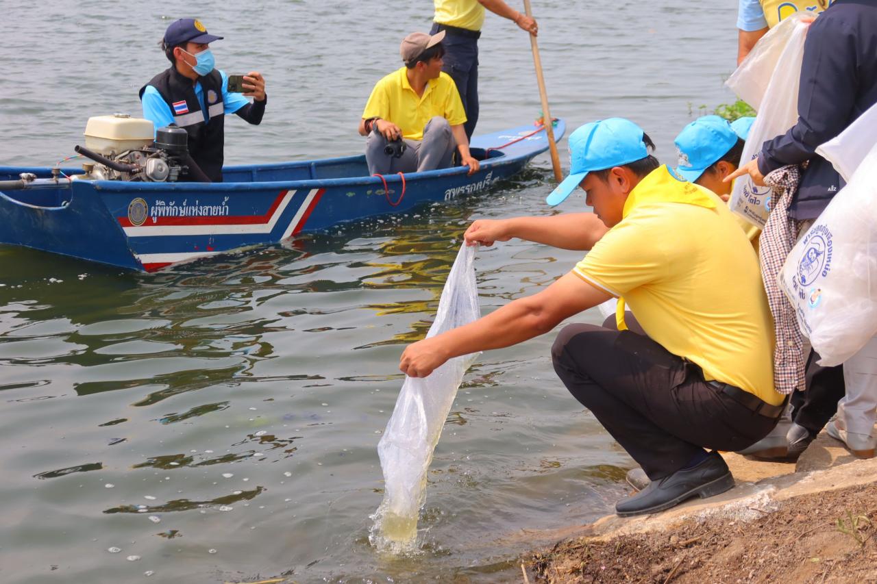 ภาพประกอบที่ 9