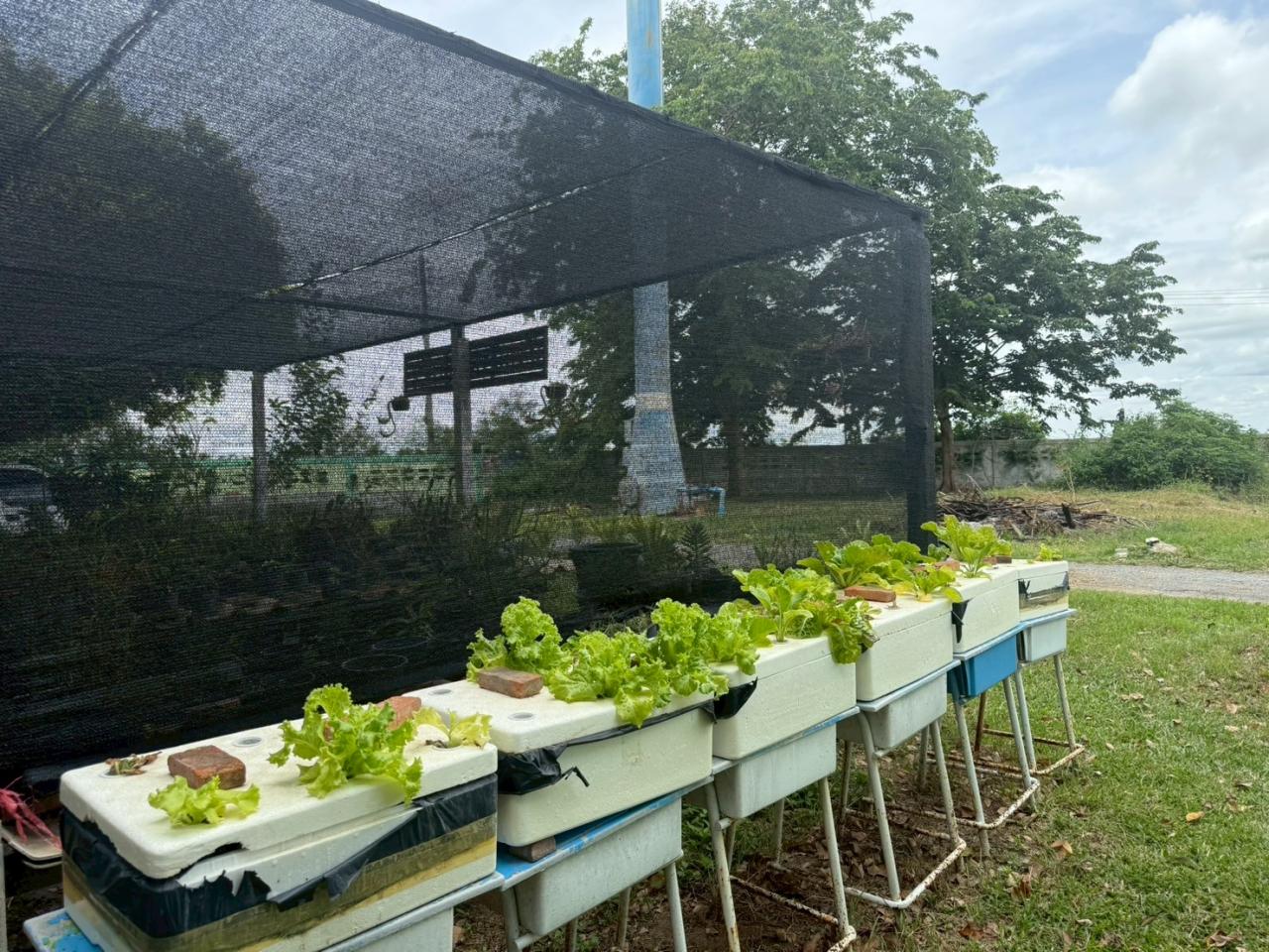 ภาพประกอบที่ 2