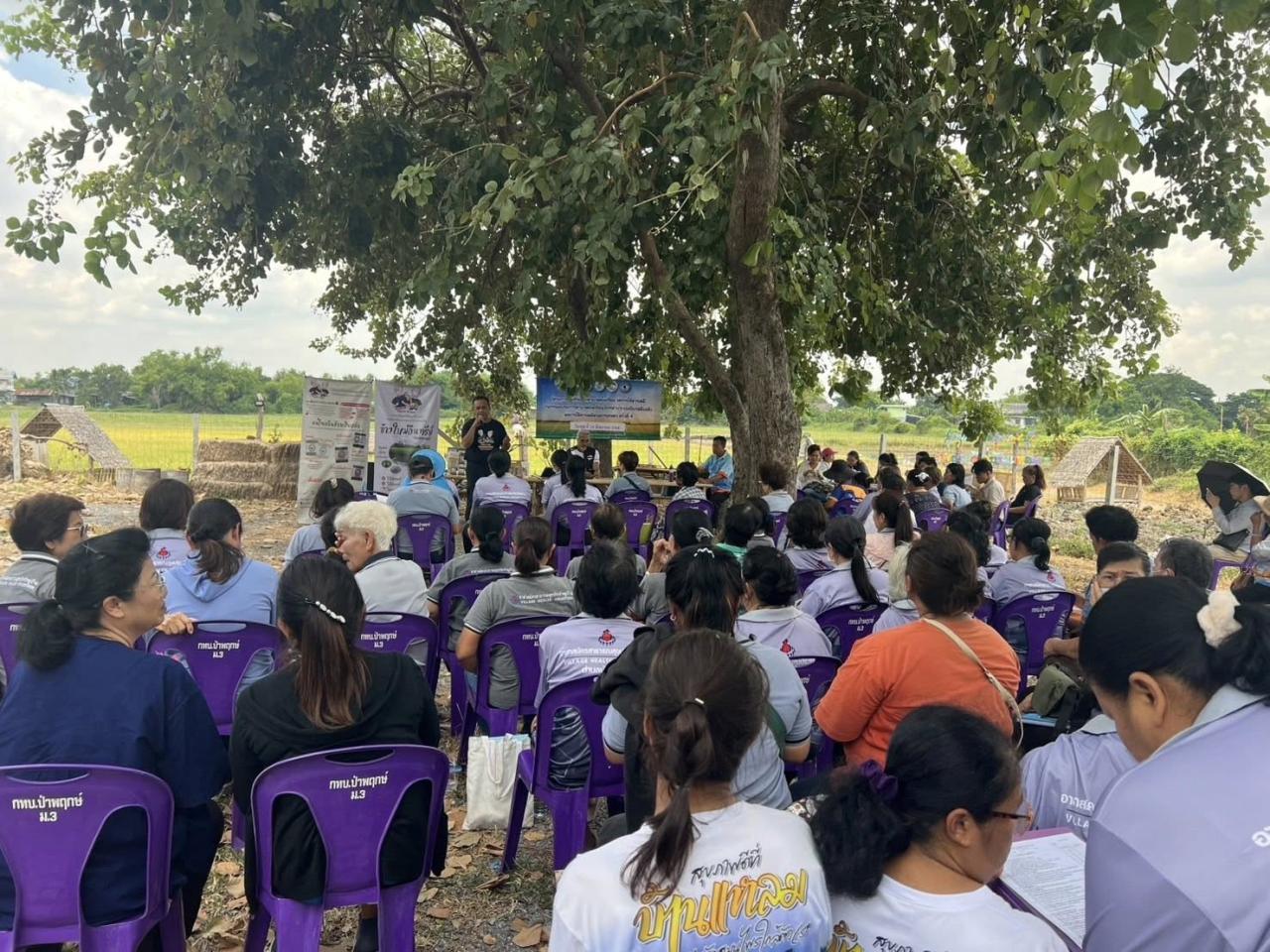 ภาพประกอบที่ 6