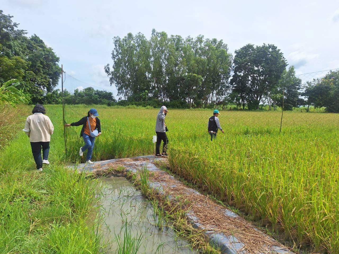 ภาพประกอบที่ 3