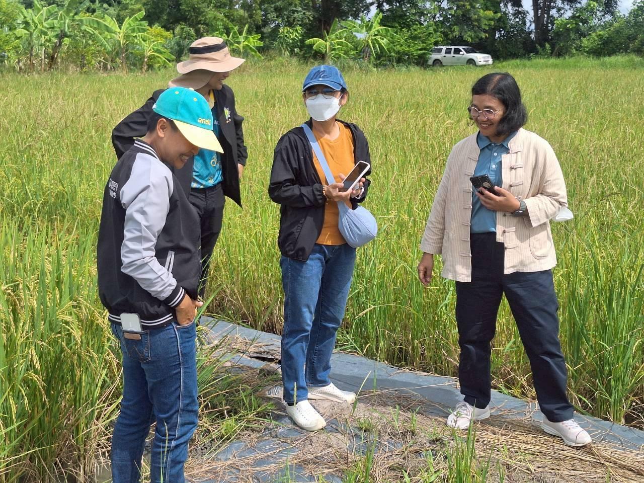 ภาพประกอบที่ 4