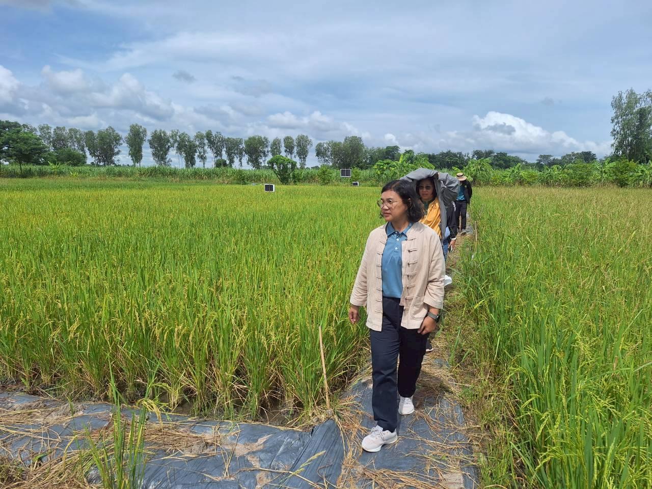ภาพประกอบที่ 7