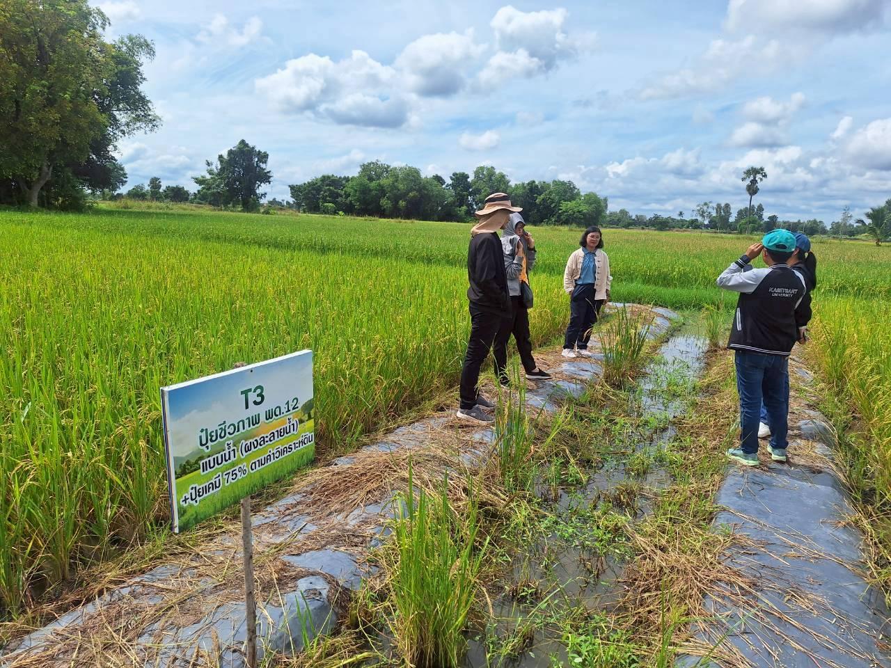 ภาพประกอบที่ 9