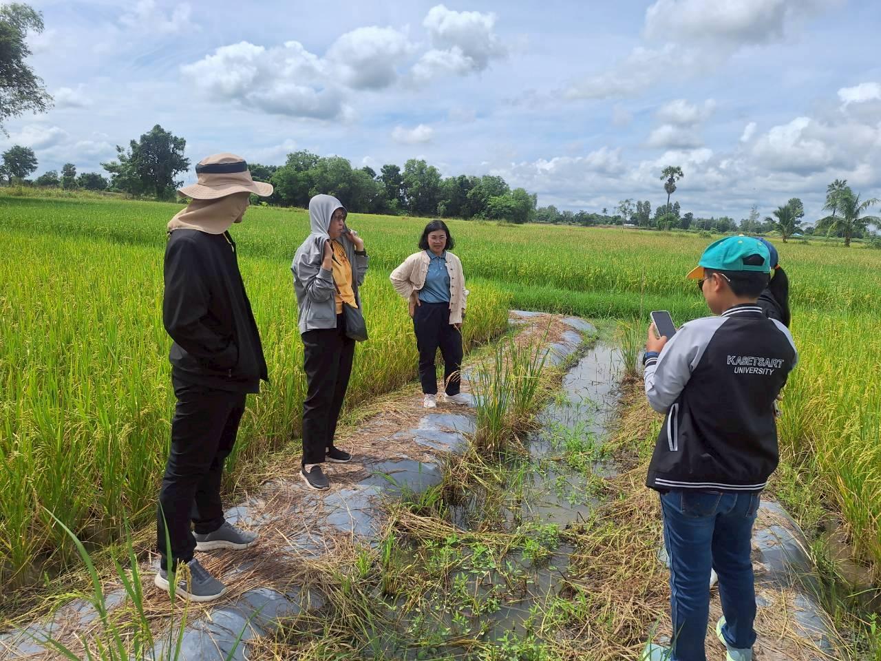 ภาพประกอบที่ 11