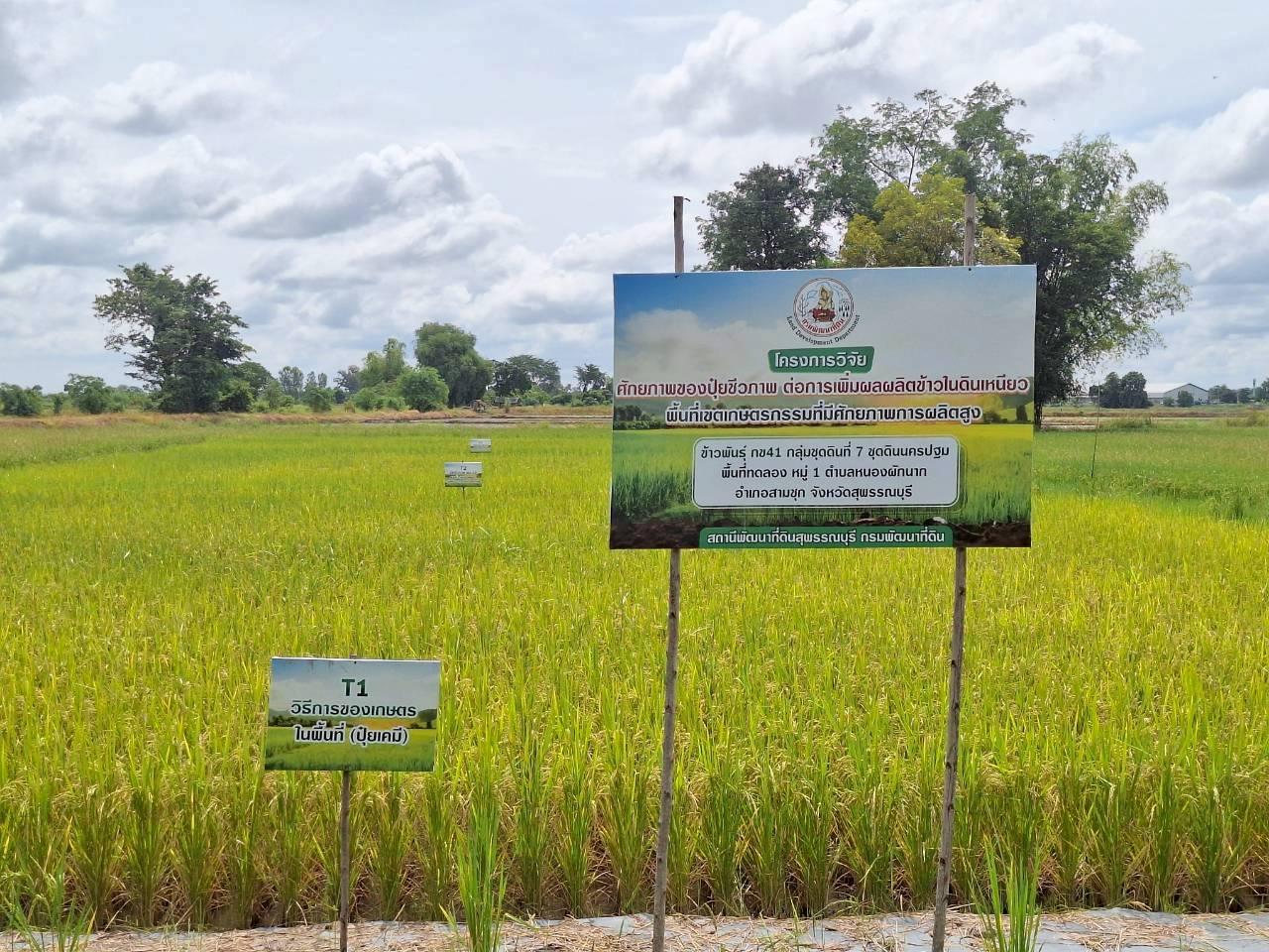 ภาพประกอบที่ 12