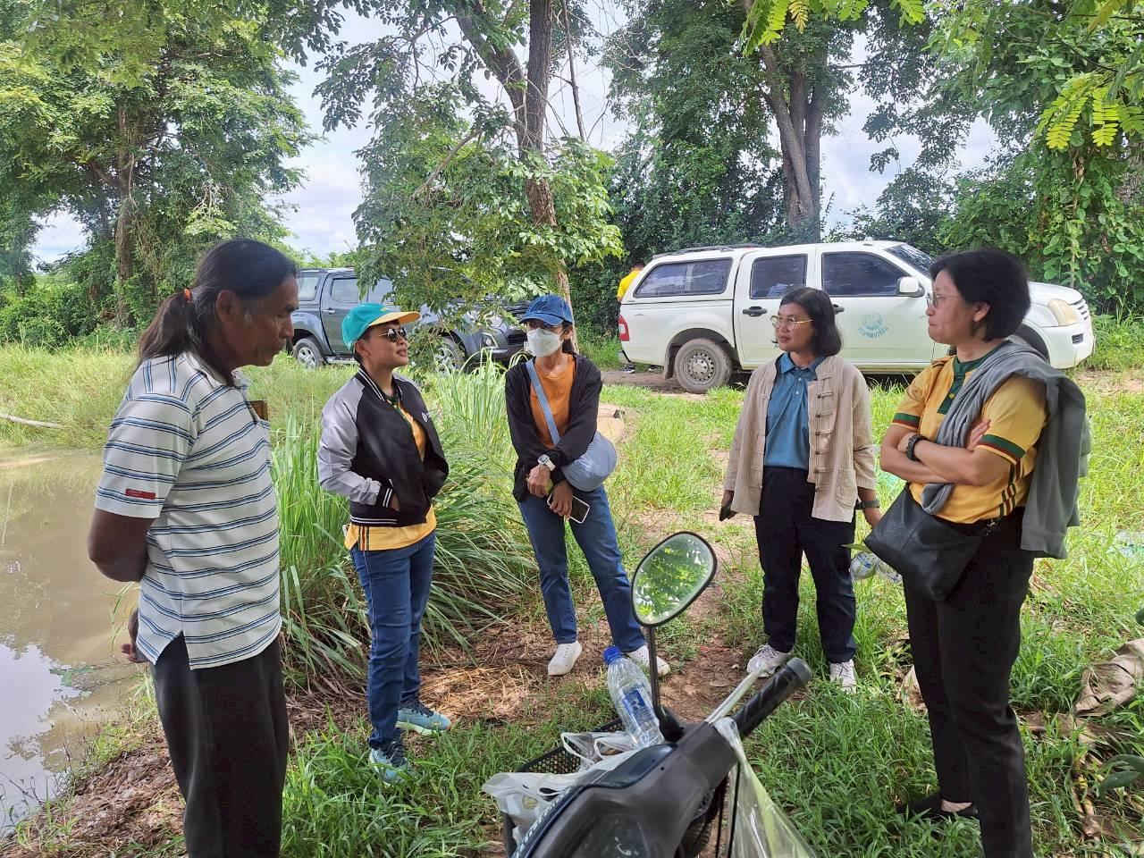 ภาพประกอบที่ 13