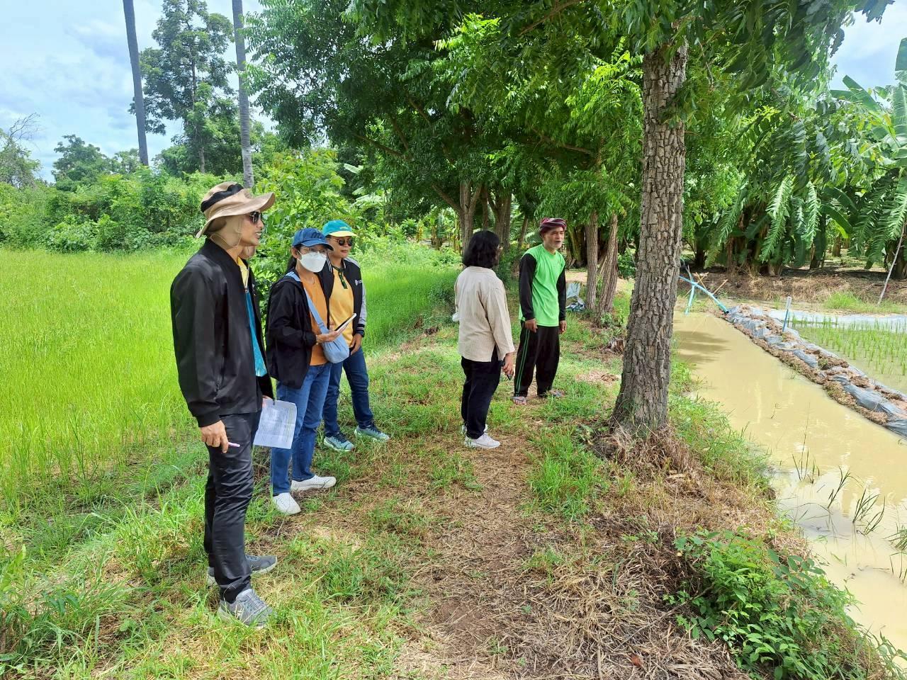 ภาพประกอบที่ 15