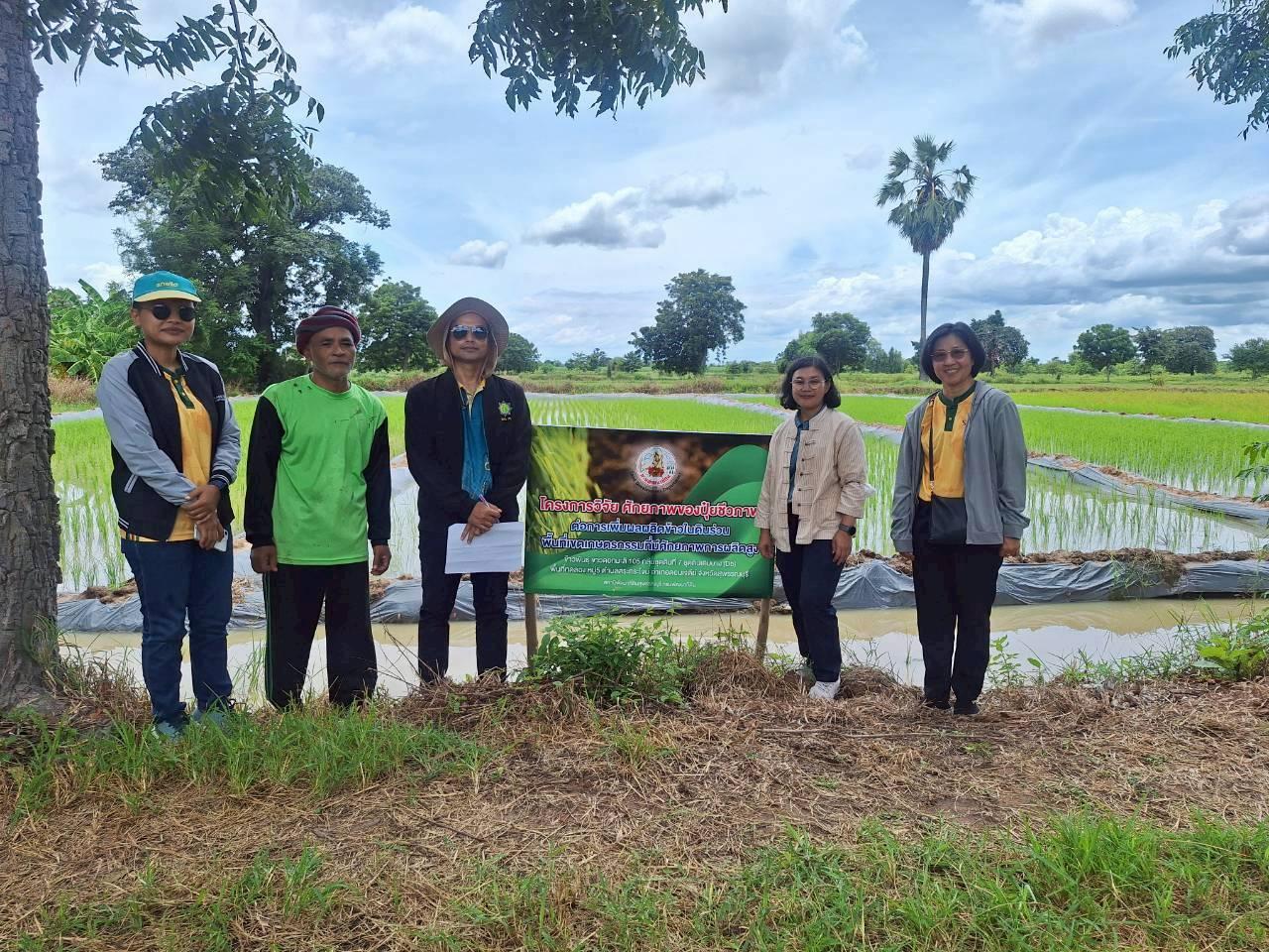 ภาพประกอบที่ 27