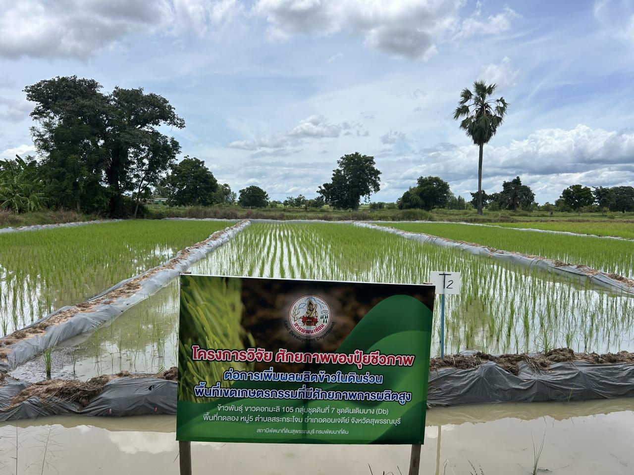 ภาพประกอบที่ 28